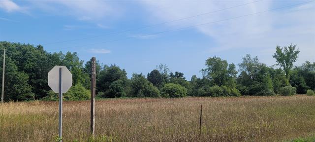 Builiding view sixty nine for 8716 80Th, Pentwater, MI. 49449