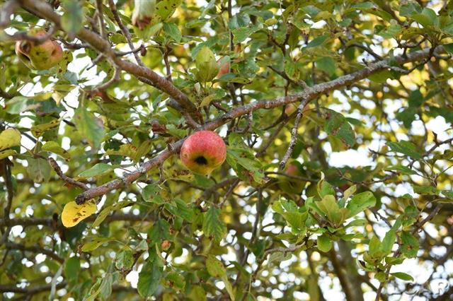 Builiding view nine for 4675 Munson, Hudson, MI. 49247