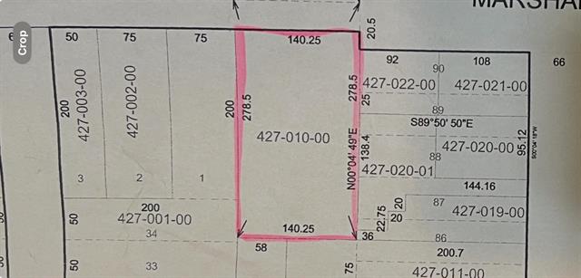 Builiding view forty four for 217 Marshall, Brooklyn, MI. 49230