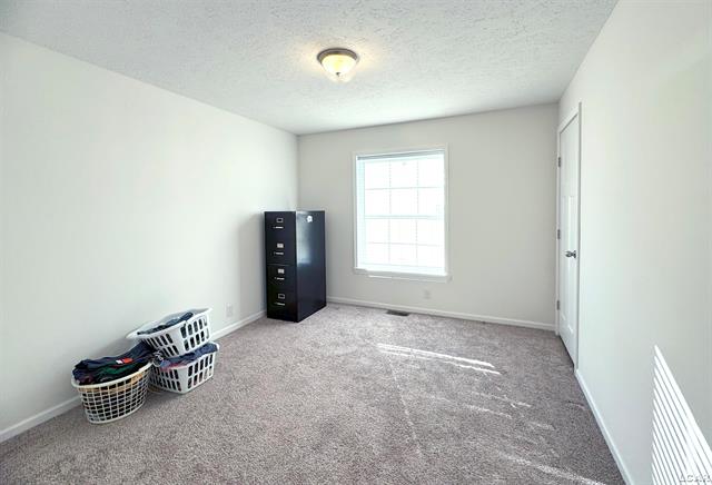 Builiding view ten for 650 West Adrian, Blissfield, MI. 49228