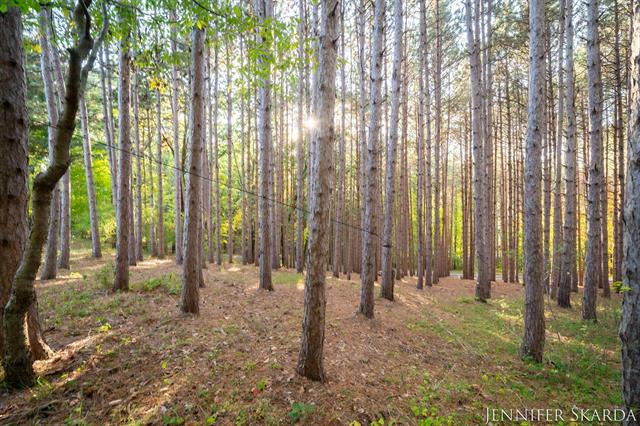 Builiding view forty four for 7380 Leonard, Ada, MI. 49301