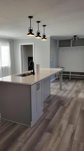 Builiding view eleven for 7587 Parsonage, Saranac, MI. 48881