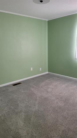 Builiding view thirteen for 7587 Parsonage, Saranac, MI. 48881