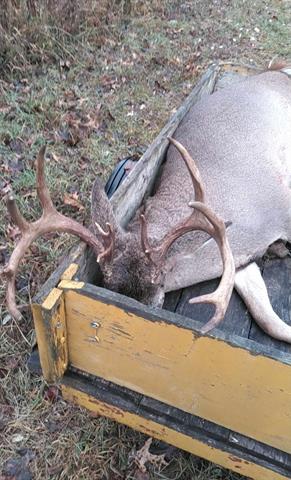 Builiding view forty five for 8770 Vickeryville, Vestaburg, MI. 48891