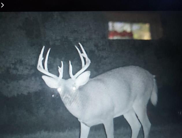 Builiding view forty four for 8770 Vickeryville, Vestaburg, MI. 48891