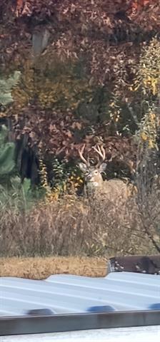 Builiding view forty two for 8770 Vickeryville, Vestaburg, MI. 48891