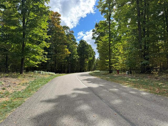 Builiding view twenty eight for 2418 Hawks Eye, Bellaire, MI. 49615