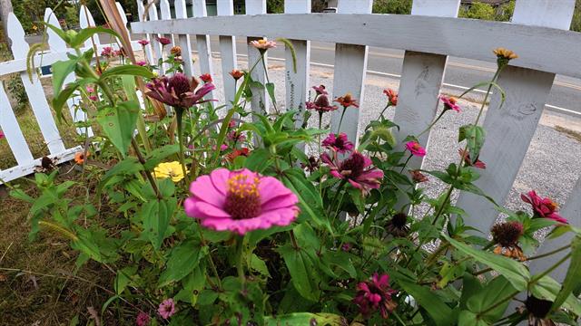 Builiding view twenty three for 16920 6Th, Wellston, MI. 49689