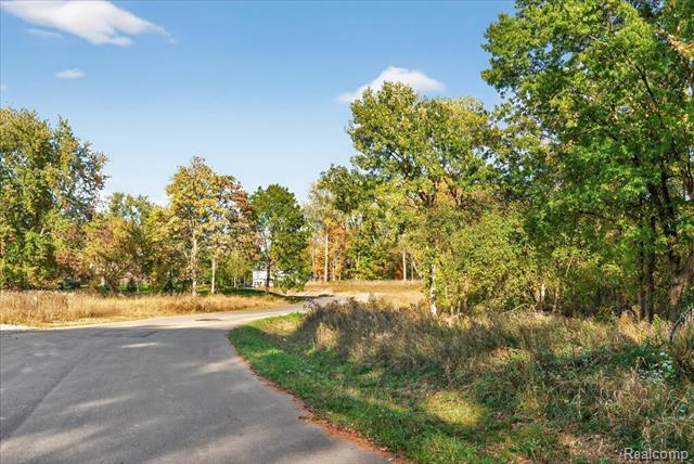 Builiding view fifty two for 4050 Metamora Ridge, Metamora, MI. 48455