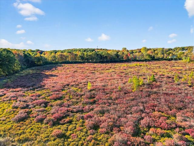 Builiding view forty six for 4050 Metamora Ridge, Metamora, MI. 48455