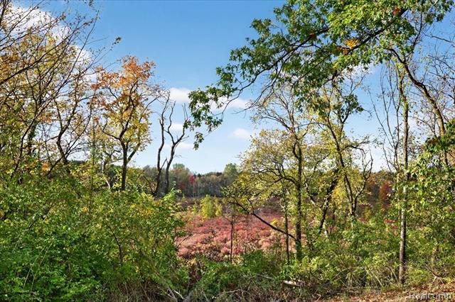 Builiding view forty for 4050 Metamora Ridge, Metamora, MI. 48455