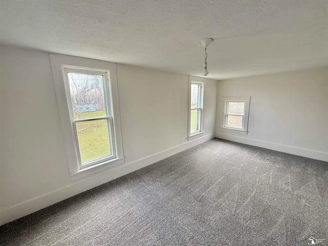 Builiding view twenty four for 6349 Dixon, Monroe, MI. 48161