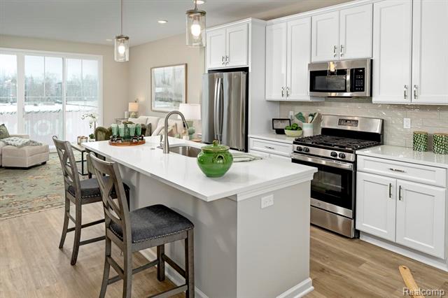 Builiding view eighteen for 56065 Madison, New Hudson, MI. 48165