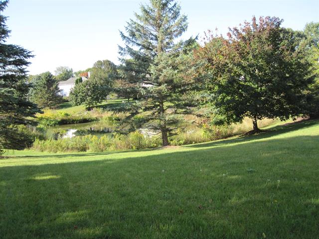 Builiding view thirty for 306 Cambridge, Dexter, MI. 48130