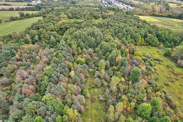 Builiding view fifty eight for 5238 Gale, Davison, MI. 48423