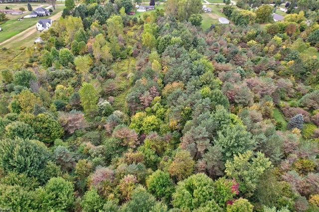 Builiding view fifty nine for 5238 Gale, Davison, MI. 48423