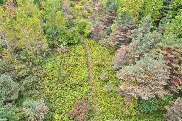 Builiding view sixty one for 5238 Gale, Davison, MI. 48423