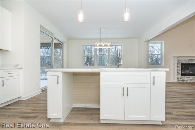 Builiding view nineteen for 225 E Predmore, Oakland, MI. 48363