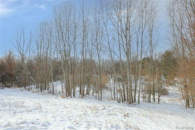 Builiding view fifteen for 3770 Reese, Ortonville, MI. 48462