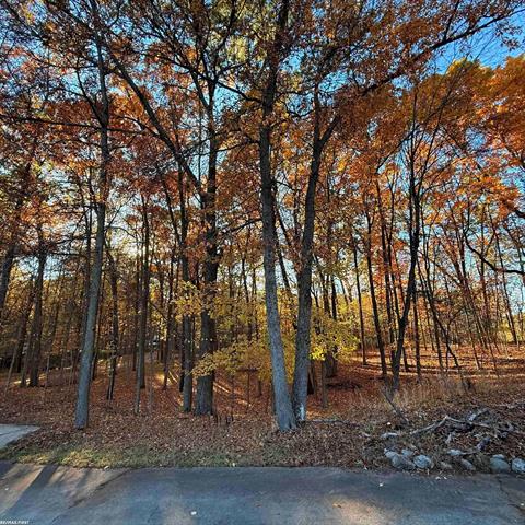 Builiding view twenty nine for 1185 Barr, Oxford, MI. 48370