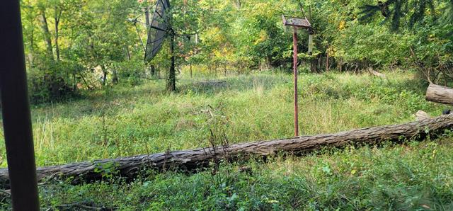 Builiding view eleven for 519 E Glass, Ortonville, MI. 48462