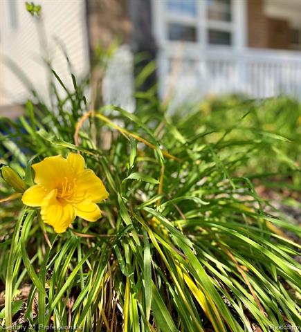 Builiding view twenty seven for 778 W Peninsula, Oxford, MI. 48371