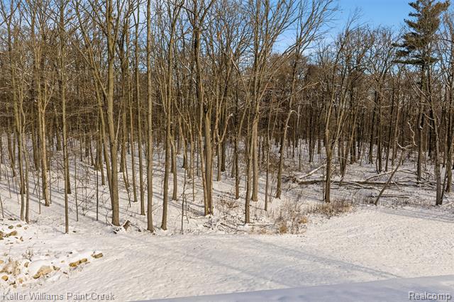 Builiding view fifty five for 2390 Noble, Oxford, MI. 48370