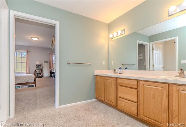 Builiding view fifty one for 21255 Chubb, Northville, MI. 48167