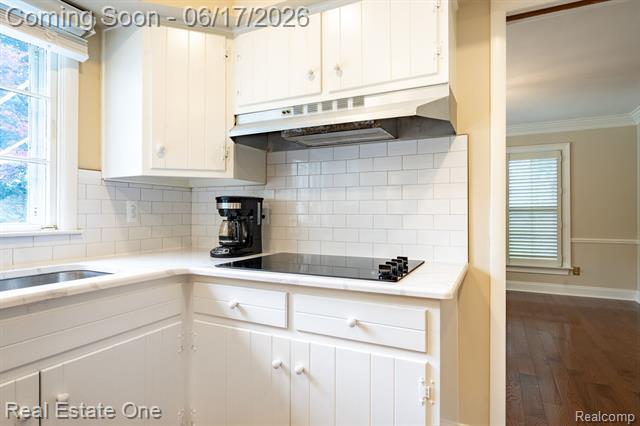 Builiding view thirteen for 1632 Spotswood, Bloomfield Hills, MI. 48302