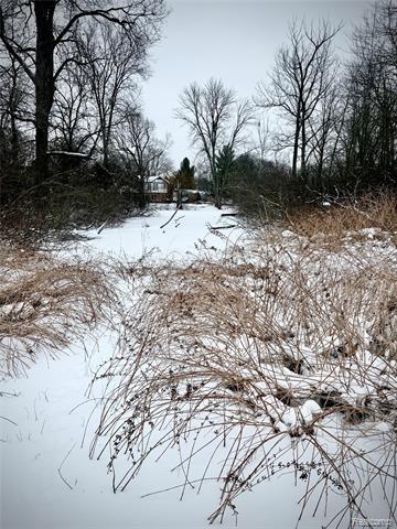 Builiding view seventy eight for 1250 Club, Bloomfield Hills, MI. 48302