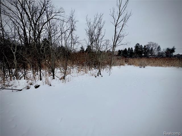 Builiding view seventy five for 1250 Club, Bloomfield Hills, MI. 48302