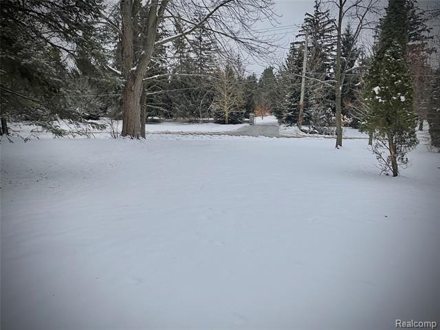 Builiding view seventy three for 1250 Club, Bloomfield Hills, MI. 48302