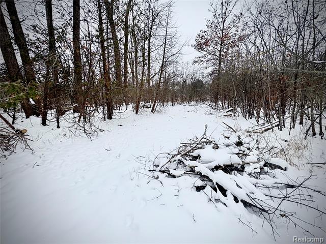 Builiding view sixty nine for 1250 Club, Bloomfield Hills, MI. 48302