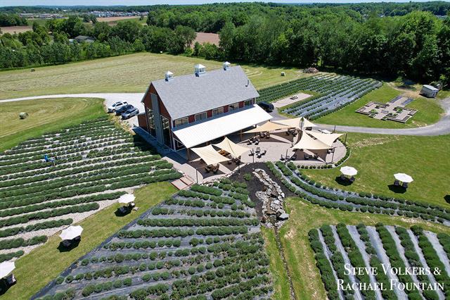 Builiding view one hundred twenty four for 464 Stanton Farms, Caledonia, MI. 49316