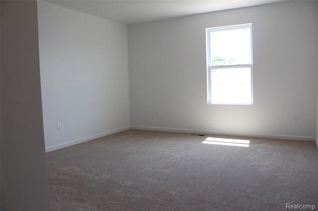 Builiding view seventeen for 58175 Kincaid, New Haven, MI. 48048