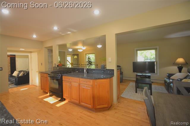 Builiding view twelve for 615 Willard, Rochester, MI. 48307