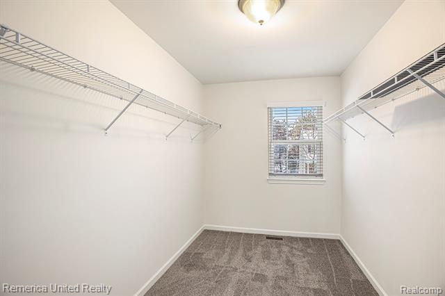 Builiding view fourteen for 59696 Twin Pines, New Hudson, MI. 48165