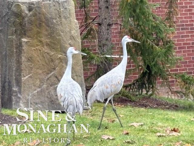 Builiding view thirty nine for 40618 Lenox Park, Novi, MI. 48377