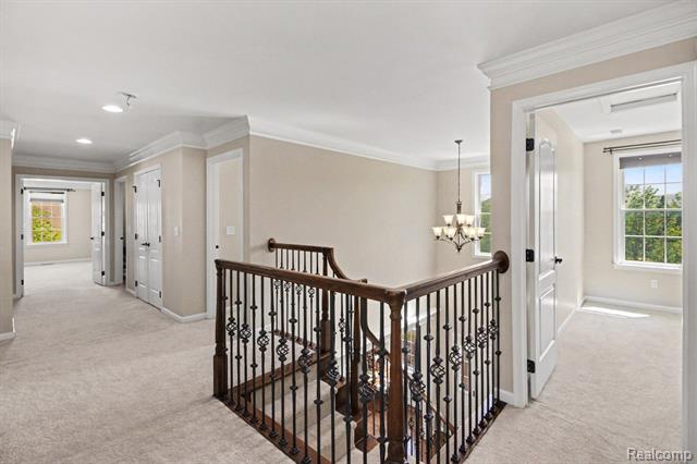 Builiding view sixteen for 50371 Langley, Novi, MI. 48374