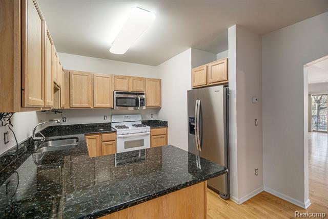 Builiding view nine for 1441 S Main, Royal Oak, MI. 48067