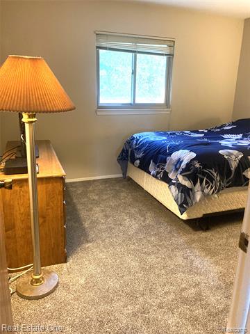 Builiding view fourteen for 3700 Old Creek, Troy, MI. 48084