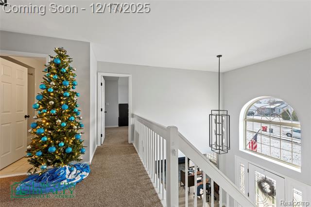 Builiding view seventeen for 53084 Black Creek, New Baltimore, MI. 48047