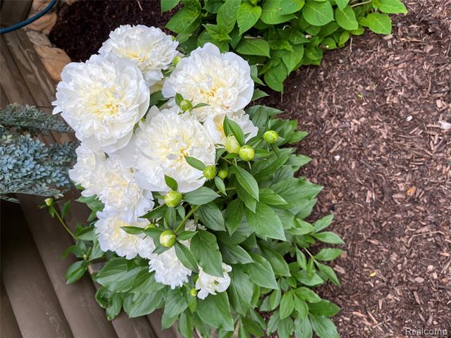 Builiding view fifty three for 8402 27 Mile, Washington, MI. 48094