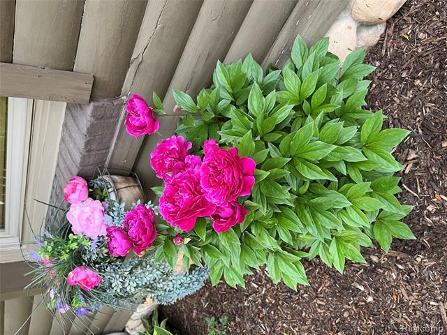 Builiding view fifty two for 8402 27 Mile, Washington, MI. 48094