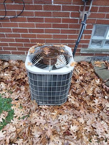 Builiding view nineteen for 22584 Marine, Eastpointe, MI. 48021