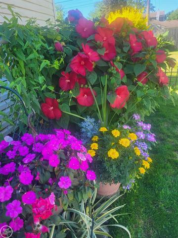 Builiding view eighteen for 23824 Lakewood, Saint Clair Shores, MI. 48082