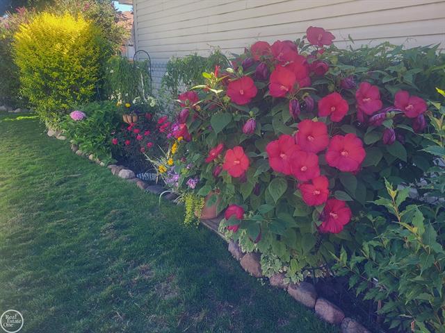 Builiding view nineteen for 23824 Lakewood, Saint Clair Shores, MI. 48082