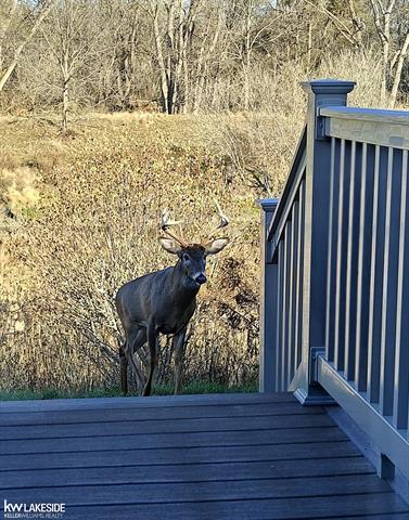 Builiding view twenty nine for 34166 Birchway, Sterling Heights, MI. 48312