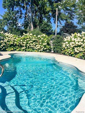 Builiding view fifty eight for 16165 Andover, Clinton Township, MI. 48035