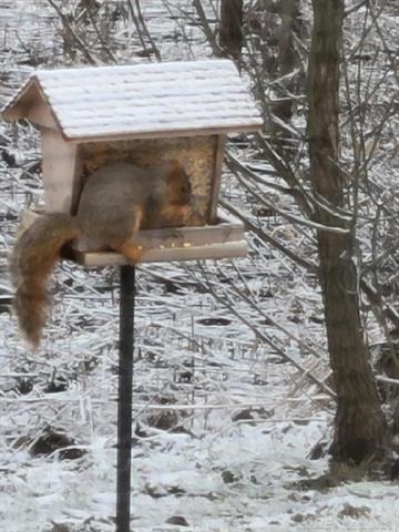 Builiding view fourteen for 52229 Tacoma Narrows, Macomb, MI. 48042